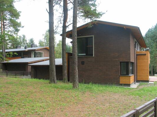 PLYTINĖ